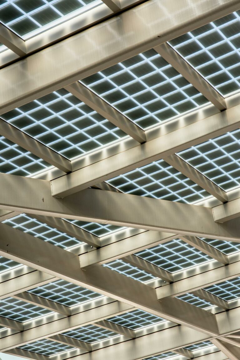 Building a Loyal Blog Audience: Strategies for Engagement and Growth